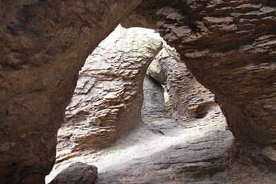 The Trail